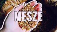 O MESZU
