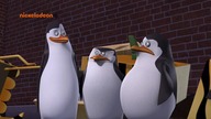 Pingwiny z Madagaskaru - SE01E08 Mistrz Kierownicy - Bombowa Rozrywka