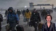 Fala nowych migrant&oacute;w z Ukrainy - Michelle Weiser