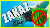 Czy pijąc bez słomki uratujesz żółwia?