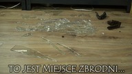 PYTON rozbił szybę i UCIEKŁ!