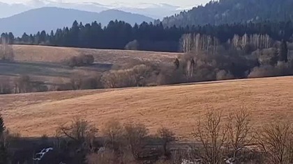 Robi się już pięknie....  #bieszczadzka #wbiesy #biesy #wbieszczady #góry #bieszczadzkachatkagosia