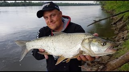 Wędkarskie nocne Marki