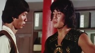  Kommando Ninja - Long zhi ren zhe - Ninja in the D ragon's Den (1982) Lektor PL  z VHS - fragment z