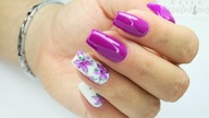 Violet flowers / Kabos / Infini