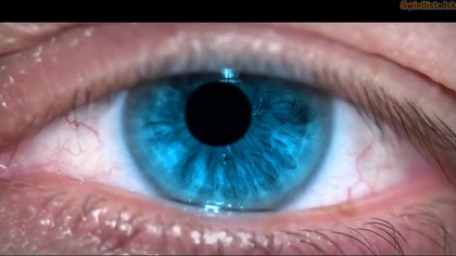 | Globalna Rewolucja | Polska | Zapoznaj Się z Nową aktualizacją Koniecznie! | BlackOut | Część 2 |