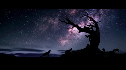 Alpha. Alfa. 2018. Dubbing.pl