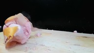 Science Experiment LIQUID NITROGEN vs RUBIKS CUBE