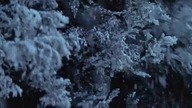 Kwaidan, czyli opowieści niesamowite 1964 lektor pl