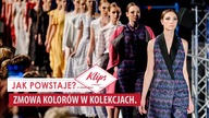 ZMOWA KOLORÓW. Co to jest?