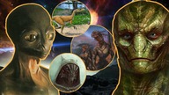 Historia Reptilian | W Nieznane