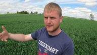 Kolejny ważny zabieg w pszenicy - zdrowy liść flagowy to kurs na wysoki plon!