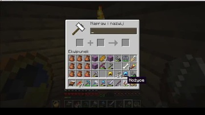 A random name, so he wouldnt disappear if he were to place a dirt block #minecraft #gaming #Game