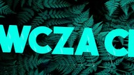 Dlaczego Mrówki zakopują miód ?  Czy lepką taśmą można je powstrzymać żeby nie przeszły ?? 