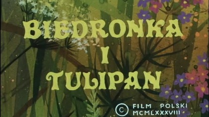 Kolorowa łąka - Biedronka i tulipan (1988)