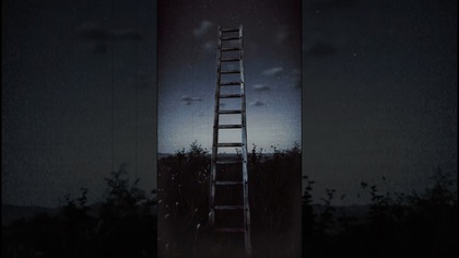 Horror na polanie w środku lasu