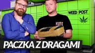 DOSTAŁEM PACZKĘ Z DRAGAMI.  CO ZROBIĆ? CO MI GROZI? | Adwokat Stelios Alewras #PoradyPrawne 4