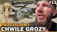 Było NIEBEZPIECZNIE! Mieliśmy KOBRĘ w hotelu I ALIGATORA przy campingu (Botswana Afryka)