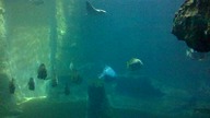 AFRYKARIUM WROCŁAW 13 08 2023 (12)