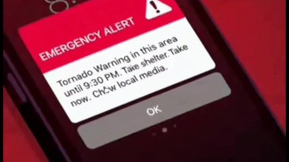 Teenager Ladybird Lu and the EAS Alarm