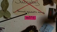 Czarodziejki S06E20