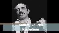 Andrzej Zaucha - Remedium (tylko wokal) [1983]