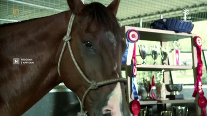 smierc na 1000 sposobow s3e11