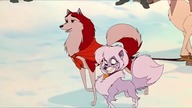 Balto 1