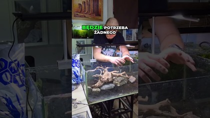 Akwarium bez CO2? Te rośliny wystrzelą! 