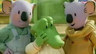 Bracia koala - Ruszajacy sie ząb Arka