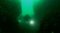 Jean-Michel Cousteau - Morskie przygody - część 6 - Podwodne skarby Ameryki