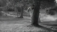Zorro Fighting Legion (1939) CHAPTER 4 - Most Zagłady [Napisy]