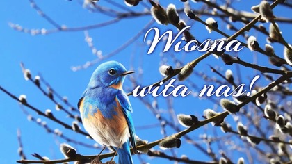 Wiosna wita nas! 