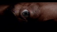 Zło pod podłogą (2001) - lektor