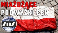 Energetyczny walec zmiecie Polaków z planszy