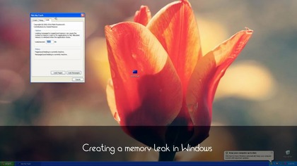 Leaking Windows memory