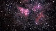 DiscoDisaster - Music in motion