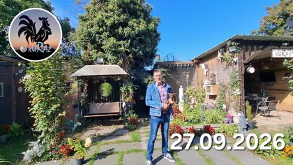 Młode kury pierwszy raz na zielonym wybiegu * W Garden kuRaż 494