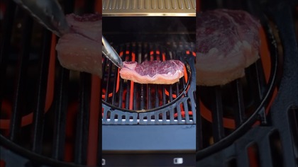 STEK Z ELEKTRYCZNEGO GRILLA