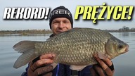 537 KOLEJNY REKORD! BRANIA W TEMPO.  ZALEW PRĘŻYCE.