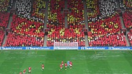 FIFA 23
