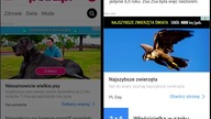REKLAMY PUŁAPKI - direct billing w T-Mobile, Orange, Plus i innych