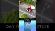 WJECHAL W LAMBO