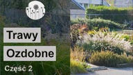 Najładniejsze trawy ozdobne do ogrodu! Część 2