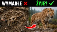 Wymarłe zwierzęta, które mogą wciąż żyć
