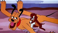 Pluto - Rabuś kości