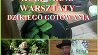 Warsztaty dzikiego gotowania u Łukasza Łuczaja.  Naucz się dodawać rośliny do posiłków.