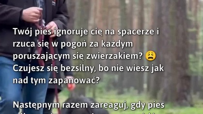 Jak odzyskać kontrolę nad psem podczas spaceru? #Pies #SzkoleniePsa #ZachowaniePsa