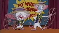 Pinky i M&oacute;zg 11 (Dubbing PL)