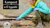 Kompost w 6 tygodni! Jak szybko zrobić kompost do wzbogacenia ziemi w warzywniku?